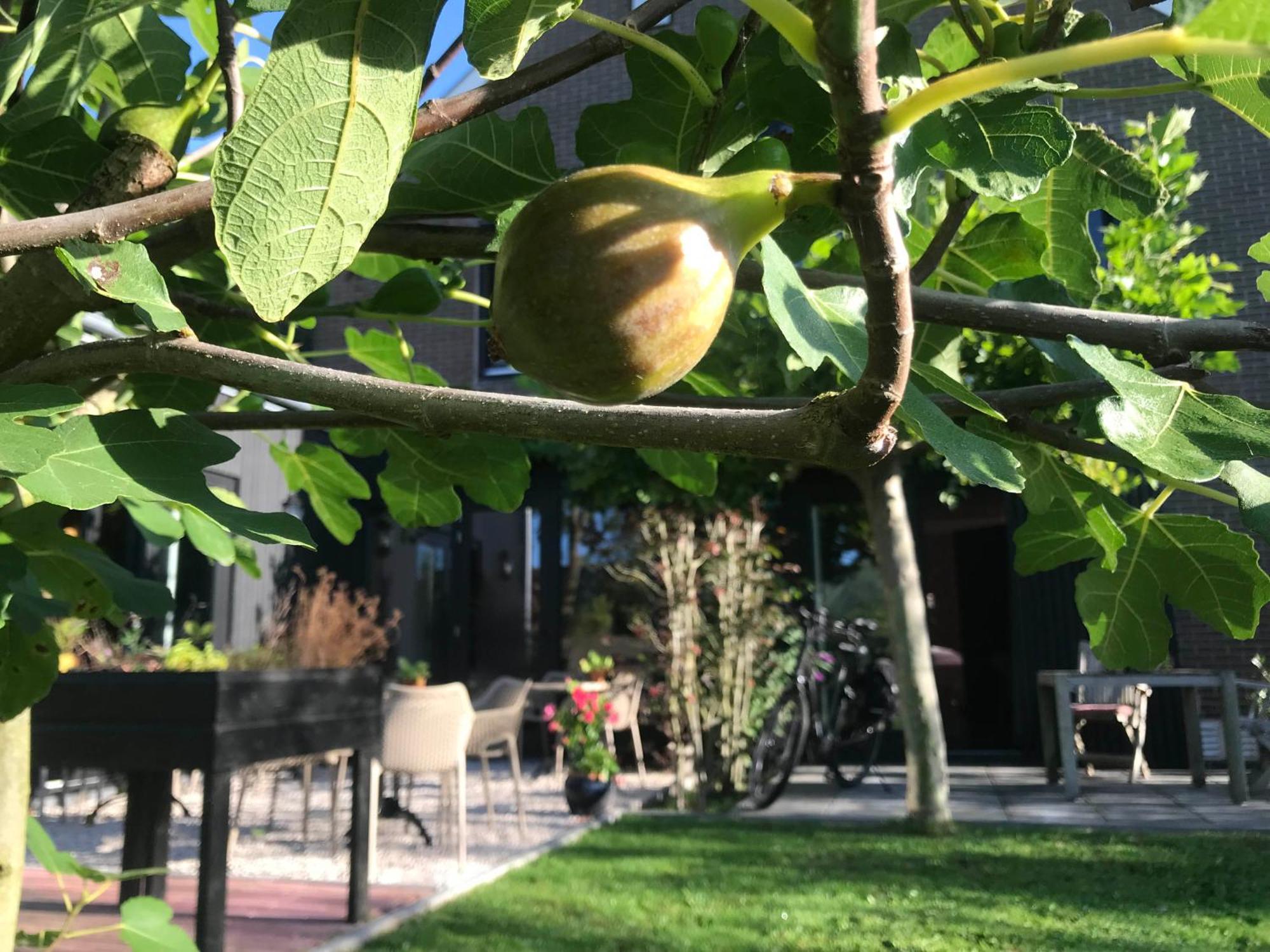 B&B De Pastorie Bij Dokkum Reitsum Kültér fotó