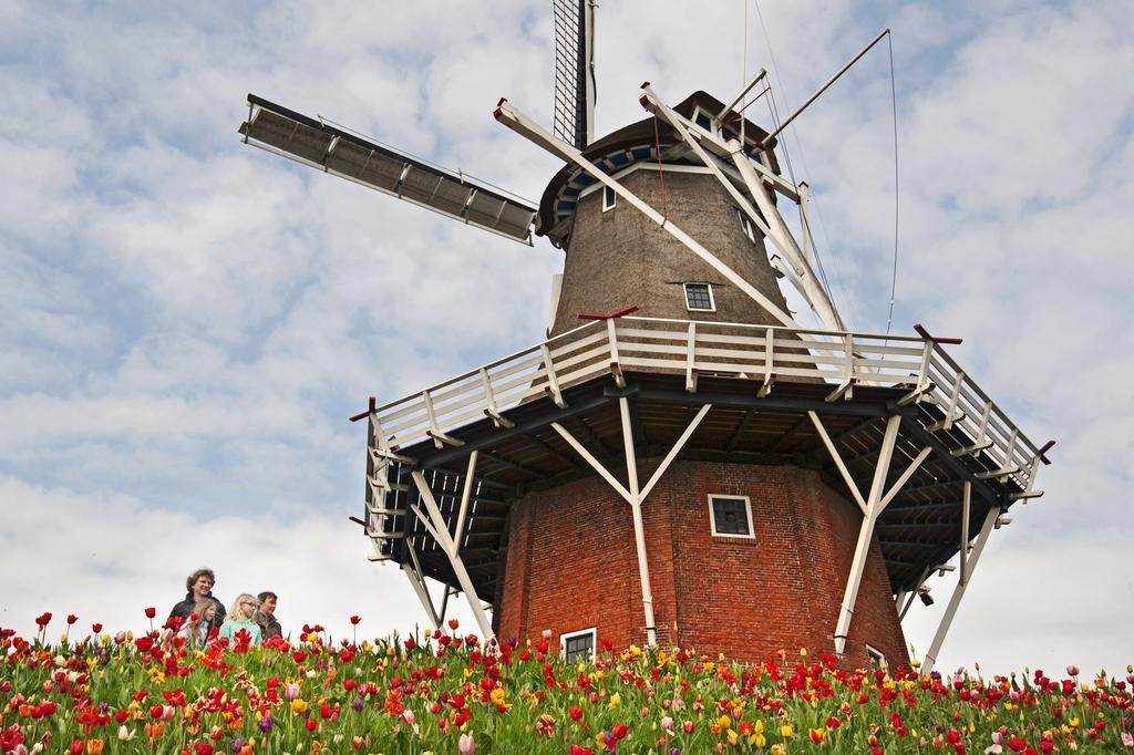 B&B De Pastorie Bij Dokkum Reitsum Kültér fotó