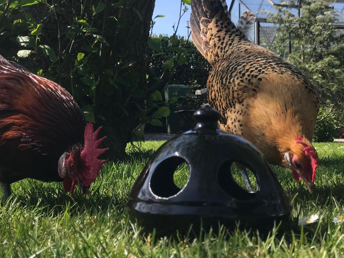 B&B De Pastorie Bij Dokkum Reitsum Kültér fotó